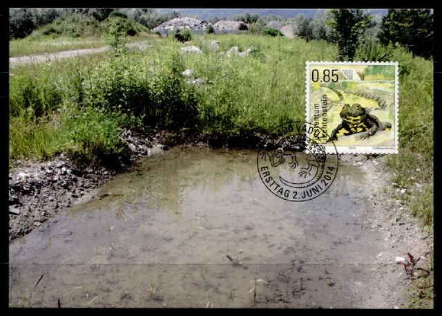 Amphibien: Gelbbauchunke,Kammmolch, Salamander.5Maximumkarten.Liechtenstein 2014
