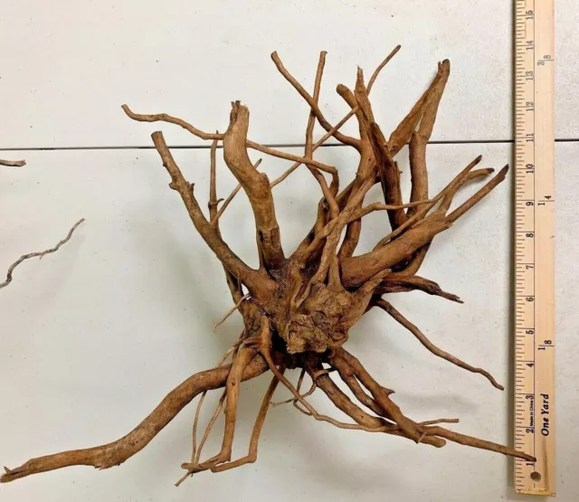 Large Spider Wood Drift Wood Natural Aquascape Hard scape Aquarium Drift Wood ✅