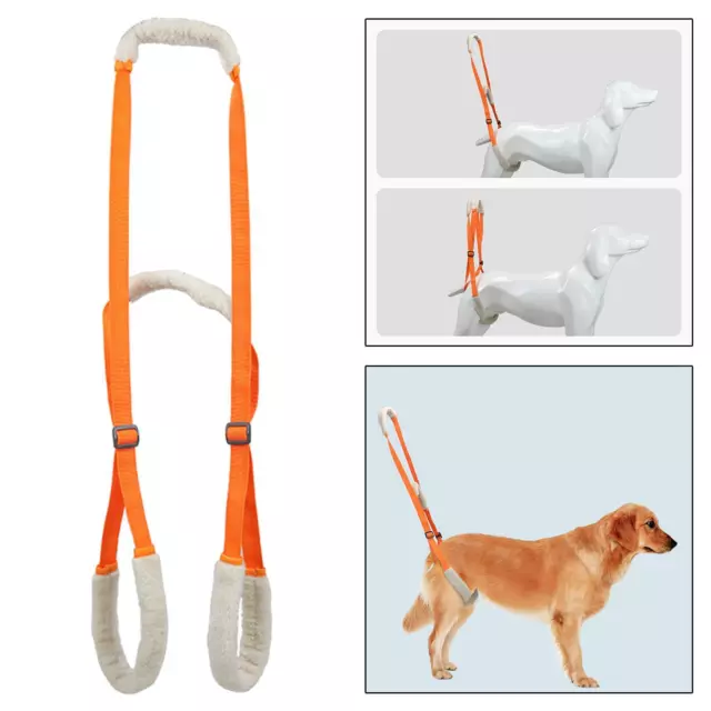 Harnais de Levage pour Chien Pets Support Arrière Utile pour Les Chiens âgés