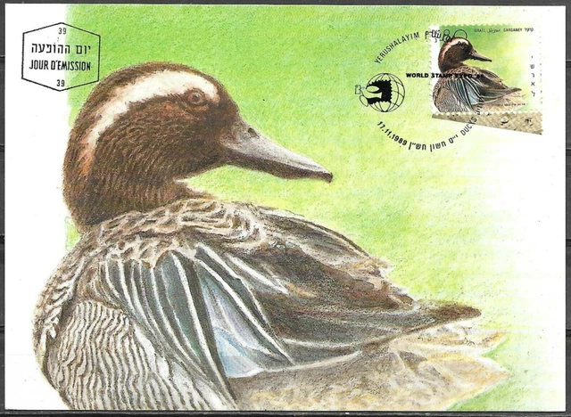Israel 1989 Maximum Card Garganey Ducks Of Israel
