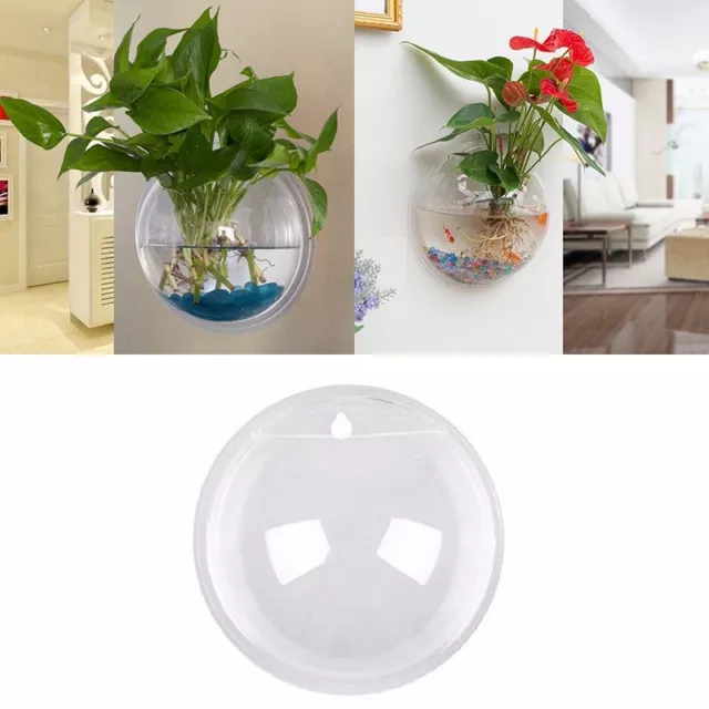 Wall Mounted Hanging Fish Bowl Aquarium Tank Beta Goldfish Plant Home Art Decor 3