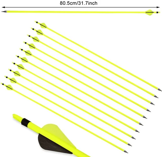 30& ARCHERY CARBON Arrows SP500 Arrowheads Recurve Compound Bow Hunting