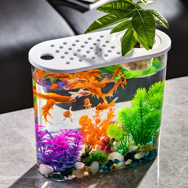 Transparent Plastic Hydroponic Fish Tank  Landscape Decorations