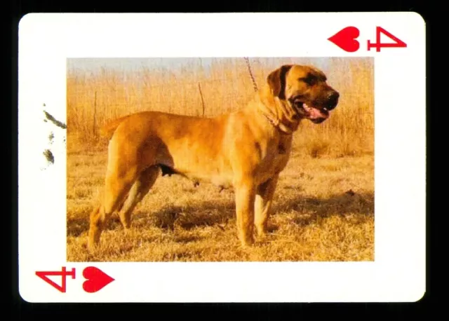1 x Spielkarte Hund aus Zypern Serie - siehe Foto - 4 of Hearts S35