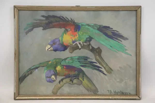 Zwei Papageien Tier Studie Gouache signiert MORTMANN 1930er Jahre (BK3766)