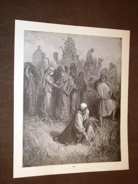 Incisione di Gustave Dorè del 1880 Bibbia Booz e Ruth Bible Engraving