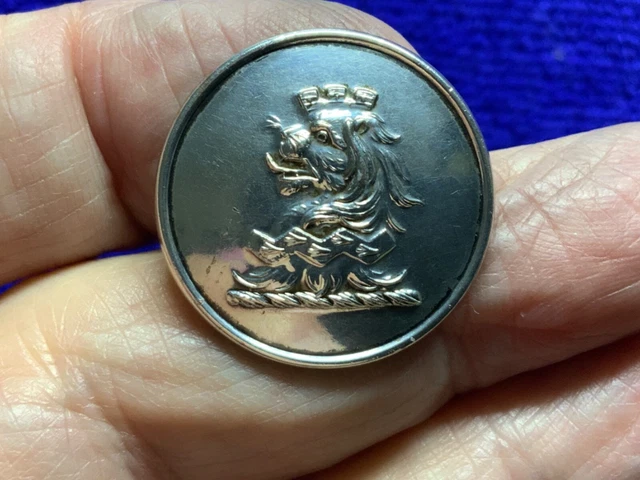 FELLOWES FAMILY LION/MURAL CROWN/FESS 25.2mm S-P LIVERY COAT BUTTON PITT 1875-95