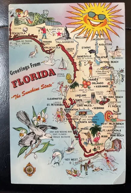 Postcard Greetings From Florida FL The Sunshine State Posted 1963