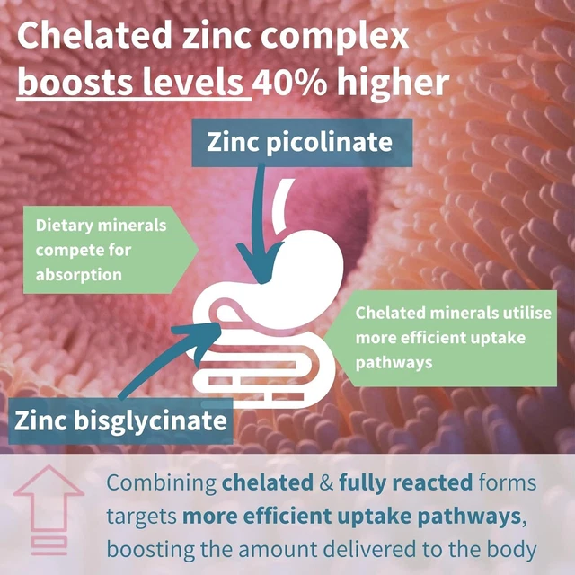 HIGH ABSORPTION ZINC 25mg & Copper Supplement, Clean Ingredients, 180 Vegan Tab £20.95 PicClick UK