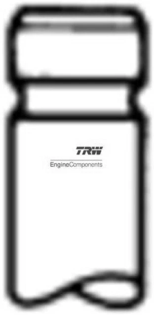 TRW Engine Component 105-35650 Valvola di aspirazione