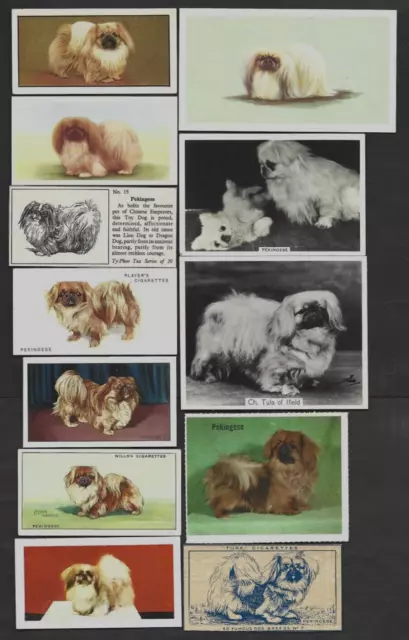 17 Different Vintage PEKINGESE Tobacco/Cigarette/Tea Dog Cards Lot