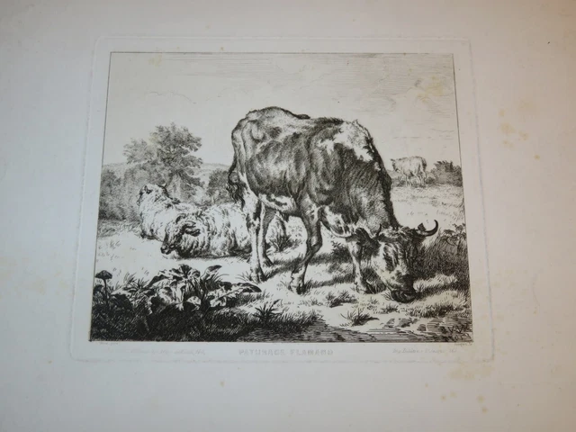 Charles Emile JACQUE 1813-1894 EAU FORTE ORIGINALE PATURAGE FLAMAND VAN DE VELDE