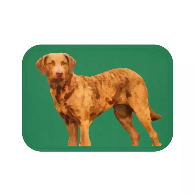 Chesapeake Bay Retriever Bathroom Rug Mat -