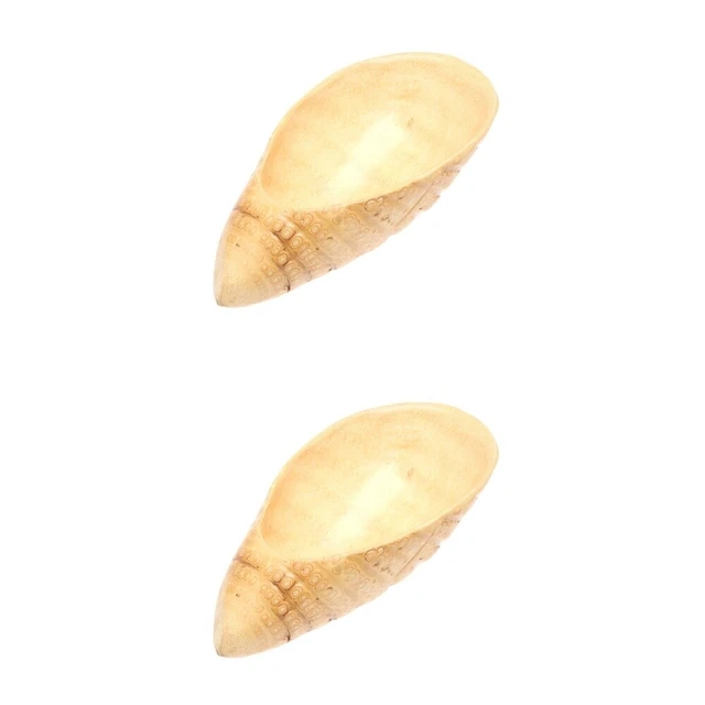 2 pezzi vassoio creativo radice di bambù frutta