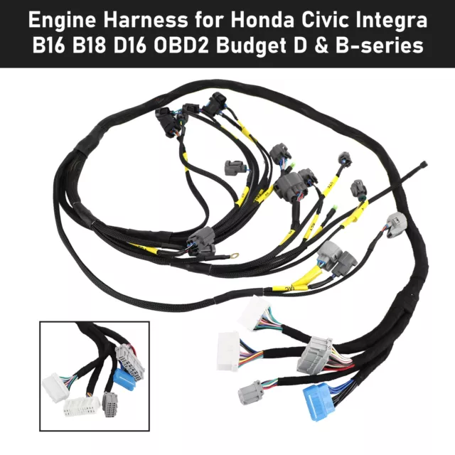 Engine Harness pour Honda Civic Integra B16 B18 D16 OBD2 Budget D & B-series H