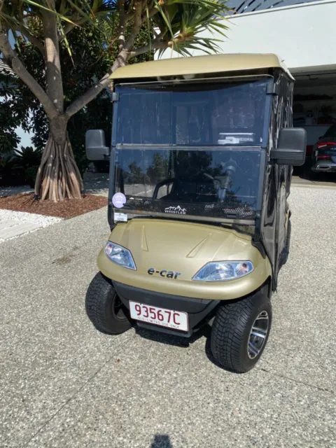 2021 E-Car Lithium Golf Cart
