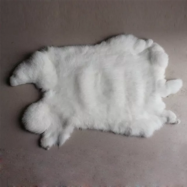 1Pcs Genuine High Grade Rabbit Skin Fur Pelt for Animal Training Crafts White