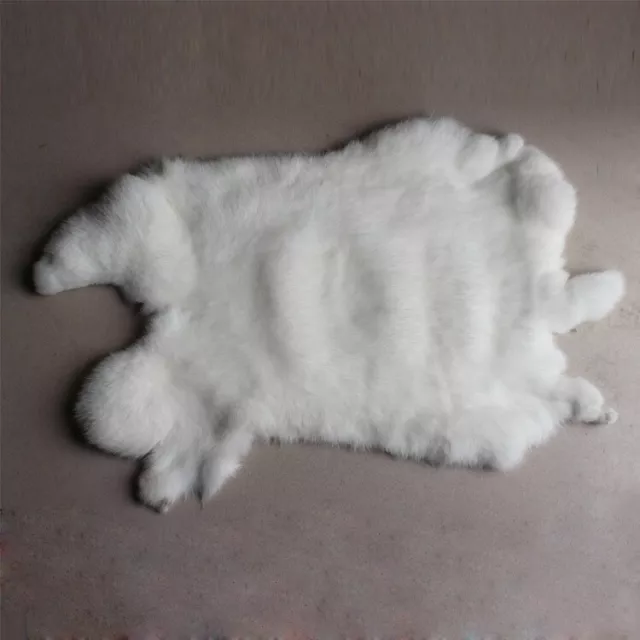 1Pcs Genuine High Grade Rabbit Skin Fur Pelt for Animal Training Crafts White 1Pcs Genuine High Grade Rabbit Skin Fur Pelt for Animal Training Crafts White