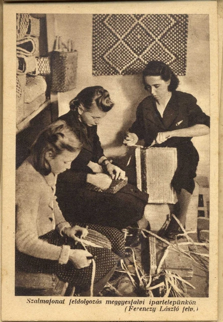 Rumänien Ungarn 1940 GR.MURES ERDÉLYRÉSZI HANGYA SZÖVETKEZET Fantastisches ALBUM RR 6