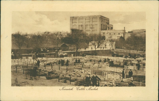 Norwich Cattle Market Tucks Sepia Plate Marked 2465