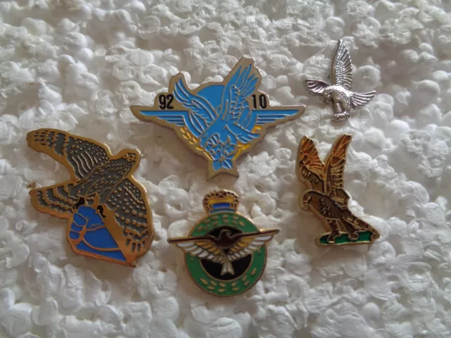 Job lot of 5 Birds of Prey wildlife related metal lapel pins