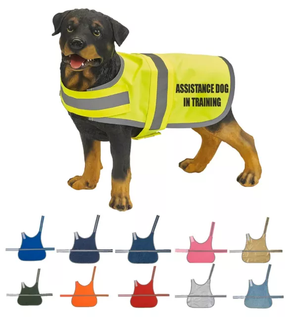 Assistance Dog In Training High Vis Dog Coat Vest Pet Safety Reflective Hi Viz