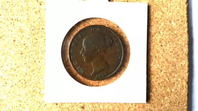 victoria, young head halfpenny