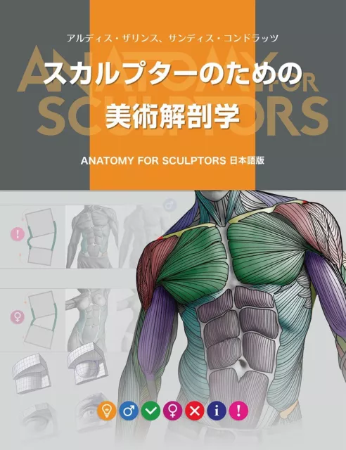 New Art anatomy Anatomy For Sculptors Japanese version from Japan 224 Book