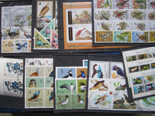 vögel alle welt auf steckkarten