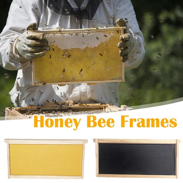 50 Fondations De Cire Gaufrée Pour Ruche - 13,3x9 Cm - Pour Cadres, Apiculture, Construction Des Rayons - 3