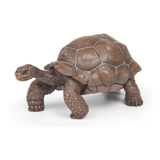 PAPO Wild Animal Kingdom Galapagos Tortoise Toy Figure, Green (50161)