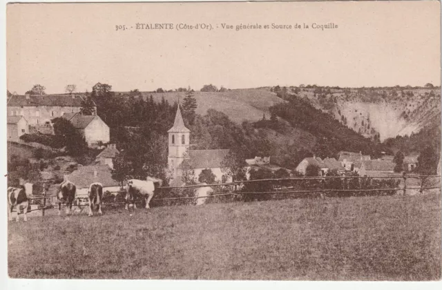 ETALENTE - Cote d' Or - CPA 21 - Vaches - Vue generale