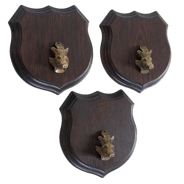 3x Wappenschilder Jabalí Af 17cm Escudo de Trofeo Jabalí Cabeza Portada Pequeño