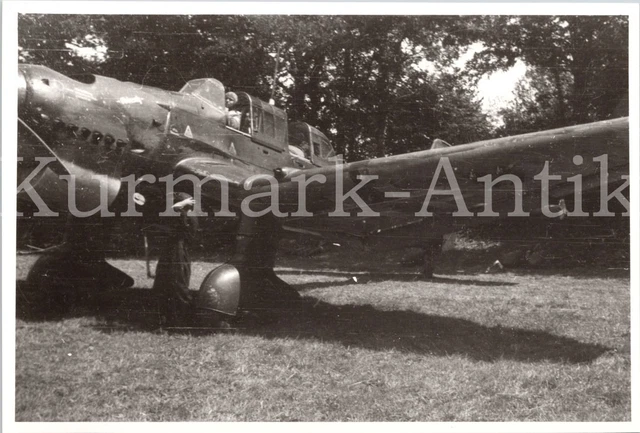 t516-foto-wehrmacht-archiv-repro-wl-flugzeug-ju87-stuka-wappen-emblem