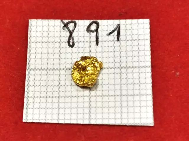 #891 Goldnugget Alaska Yukon Gold Nugget 0,225 Gramm Złoto Nuggets Gold Münze