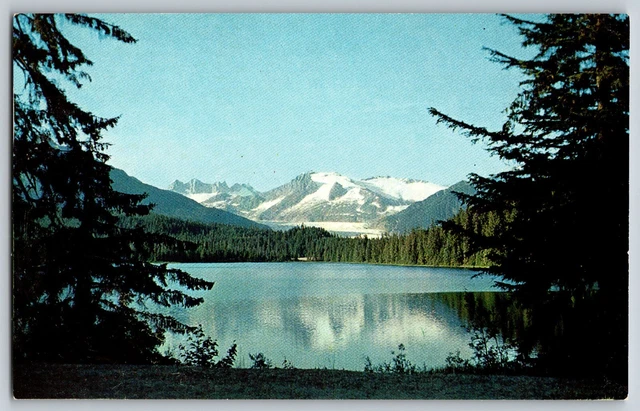 Alaska AK - Juneau Ice Cap And The Famous Mendenhall Glacier - Vintage Postcard