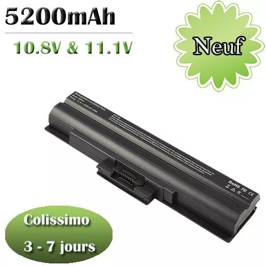 Batterie Pour Sony Vaio VGP-BPS13A/B VGP-BPS13B/Q VGP-BPS21A VGN-SR36MN/B 6 Cell