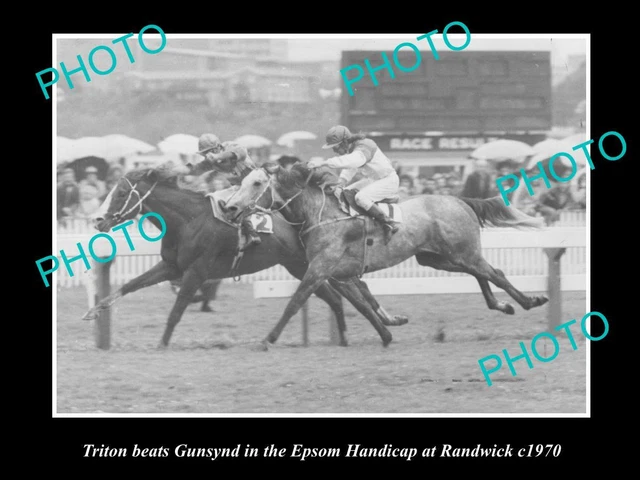 OLD HISTORIC HORSE RACING PHOTO OF TRITON BEATING GUNSYND AT RANDWICK c1970