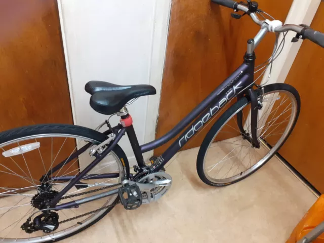 Ridgeback rapide top motion ladies