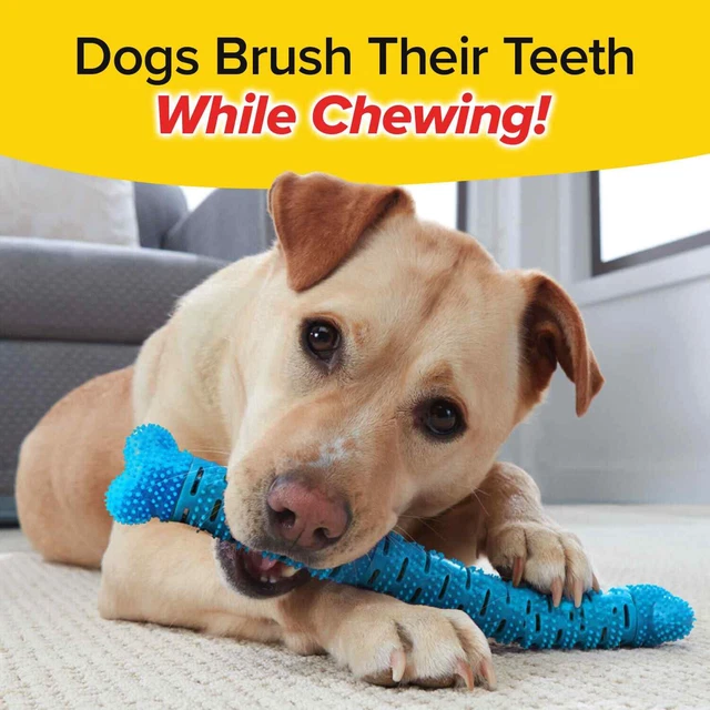 As Seen On TV BrushBone Dog Toothbrush, Brush Their Teeth While Chewing, 6 Pack 2