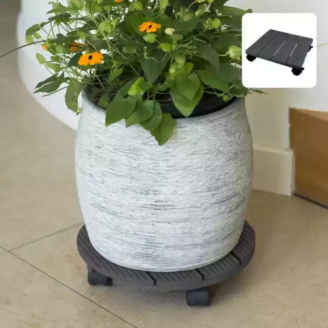 Nature Soporte con Ruedas para Plantas Carrito Plataforma de Maceta Madera Gris