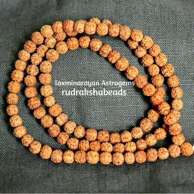 Collier Rudraksha Mala naturel sans teinture 109 perles chapelet Mala 8 mm