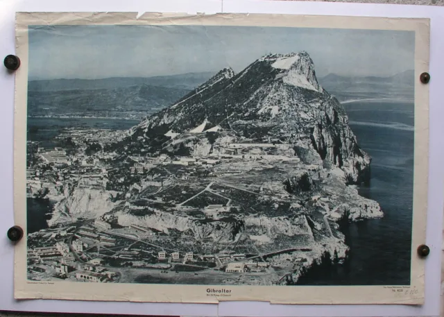 Mural Gibraltar Affenfelsen Berberaffen Algeciras 92x64 ~ 1954 Vintage Chart