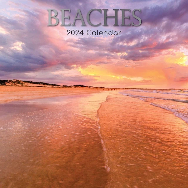 BEACHES 2024 Wall Calendar Brand New 08963 13.95 PicClick