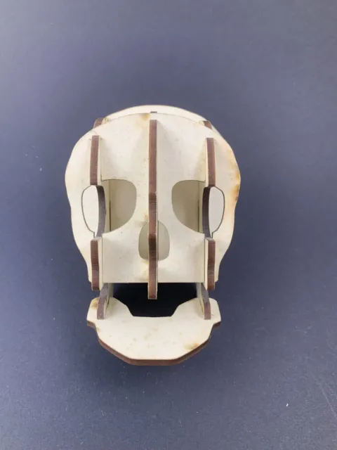 Human Skull 3D Wall Hanging