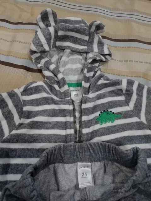 Baby Boy's Carters Gray White Green Dinosaur 2pc Hoodie Pants Set Size 24 Months 3