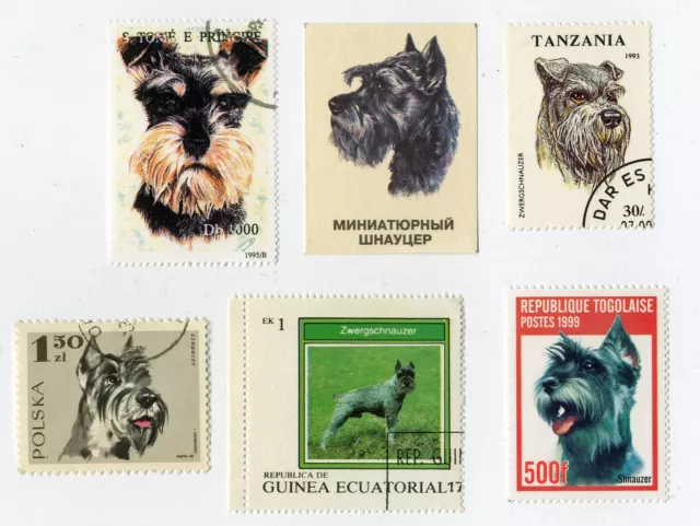 Schnauzer Vintage Dog Postage Stamps From Various Countries