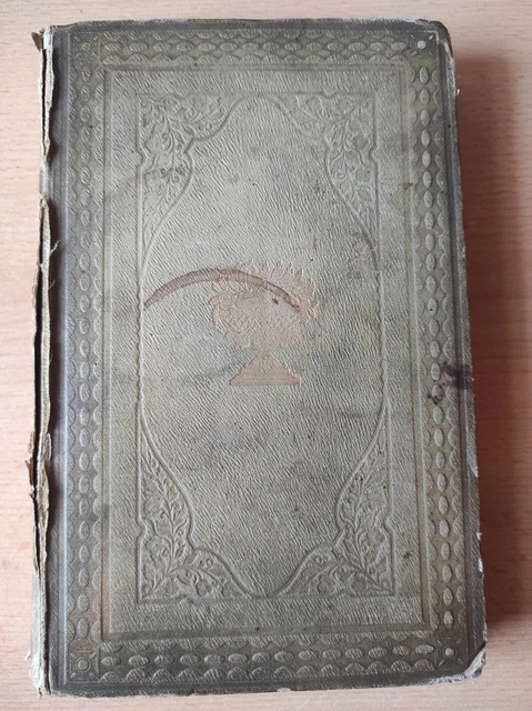 altes Buch Belgium and Nassau mit vielen schönen Kupferstichen