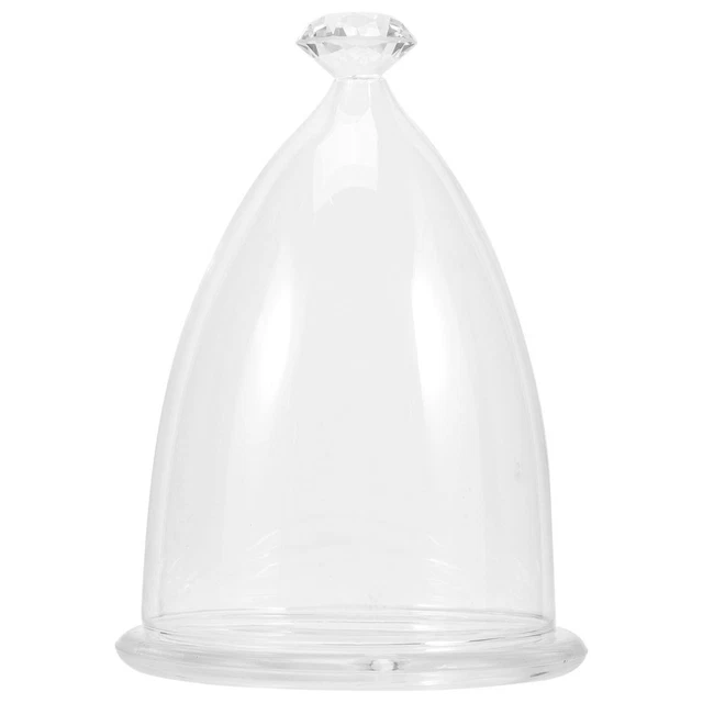 Cúpula de cristal transparente cubierta floral eterna preservada San Valentín