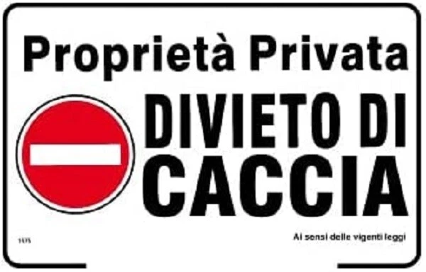 Cartello In Alluminio Piano 33x12,5cm Con Scritta PERICOLO PASSAGGIO - Foto 12